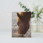 食事の時間 サンキュー ポストカード (スタンド正面)