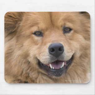 食事の組合せ犬の屋外に閉めて下さい マウスパッド