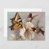 食事を共にする2羽の鳥と蝶 ポストカード (正面/裏面)
