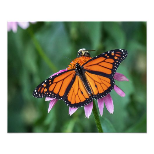 食事を共有する フォトプリント            (正面)