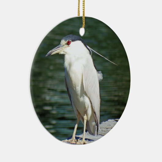 食事を捜している黒によって戴冠させる夜鷲 セラミックオーナメント (右)