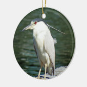 食事を捜している黒によって戴冠させる夜鷲 セラミックオーナメント (左)