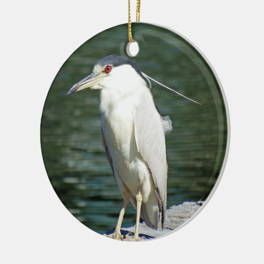 食事を捜している黒によって戴冠させる夜鷲 セラミックオーナメント (左)