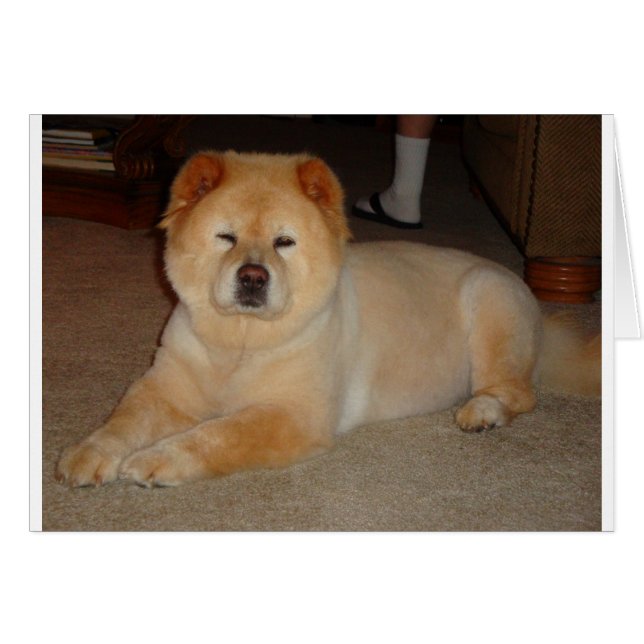 食事項目 (正面横)