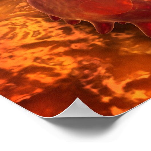 食作用マクロファージの顕微鏡的見解1 ポスター (角)