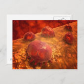 食作用マクロファージの顕微鏡的見解1 ポストカード (正面/裏面)