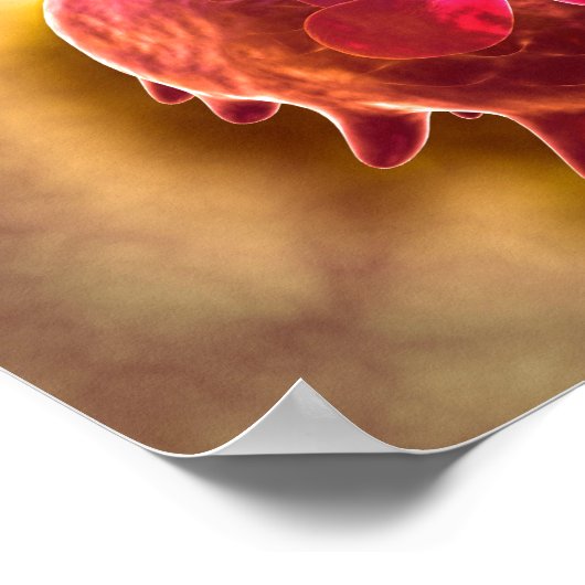 食作用マクロファージの顕微鏡的見解2 ポスター (角)