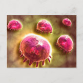 食作用マクロファージの顕微鏡的見解2 ポストカード (正面)