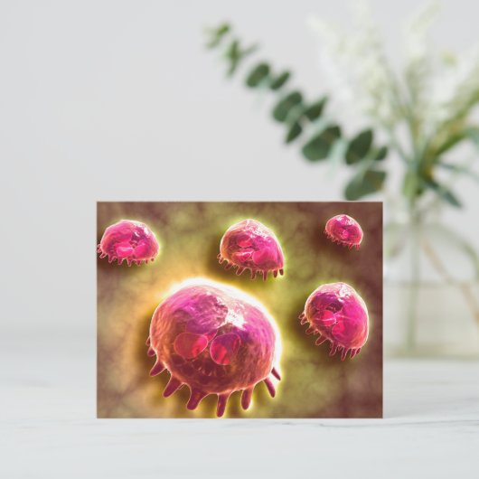 食作用マクロファージの顕微鏡的見解2 ポストカード (スタンド正面)