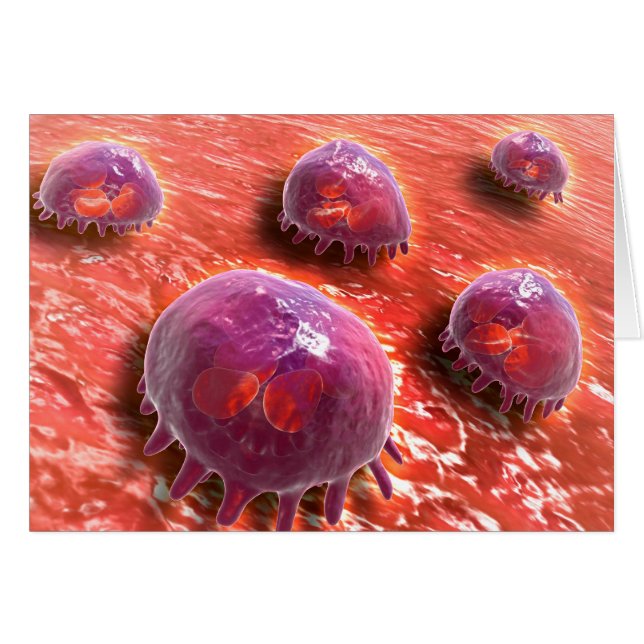 食作用マクロファージの顕微鏡的見解3 (正面横)