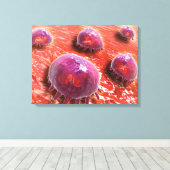 食作用マクロファージの顕微鏡的見解3 キャンバスプリント (インサイチュ (ウッドフロア))