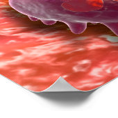 食作用マクロファージの顕微鏡的見解3 ポスター (角)
