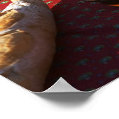 食前酒と前菜を用意:パン、オリーブ、 ポスター (角)