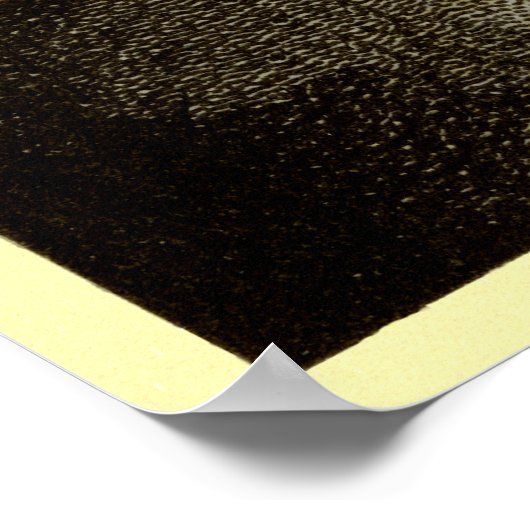 食前酒 ポスター (角)