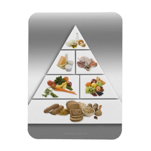 食品ピラミッド マグネット (縦)