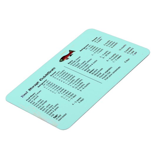 食品保管用磁石 マグネット (左側)