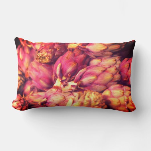 食品装飾用クッション ランバークッション (正面)