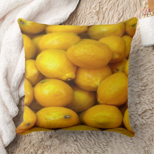 食品 クッション (ブランケット)