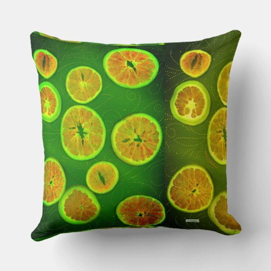 食品 クッション (裏面)