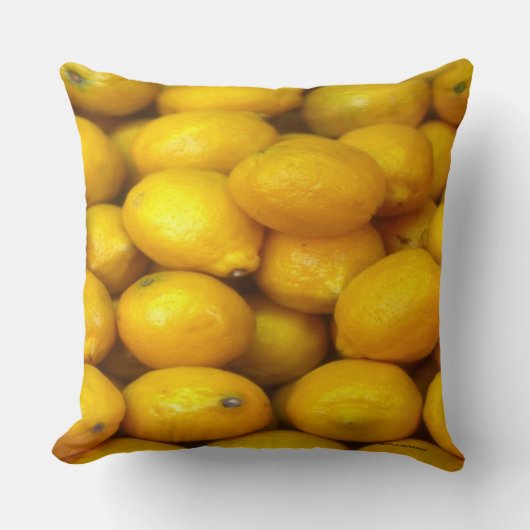 食品 クッション (正面)