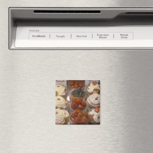 食品 マグネット (インサイチュ (食洗機))