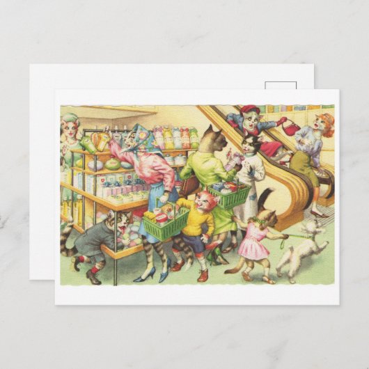 食料品店で暮らす猫たち、服を着た猫たち ポストカード (正面/裏面)