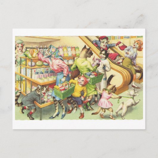 食料品店で暮らす猫たち、服を着た猫たち ポストカード (正面)
