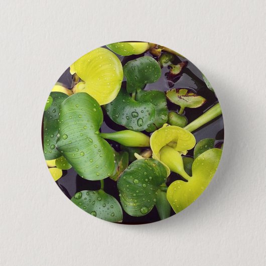 食料品店の池植物 缶バッジ (正面)