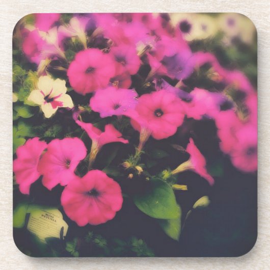 食料品店の花 コースター (正面)