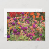 食料品店の花 ポストカード (正面/裏面)