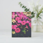 食料品店の花 ポストカード (スタンド正面)