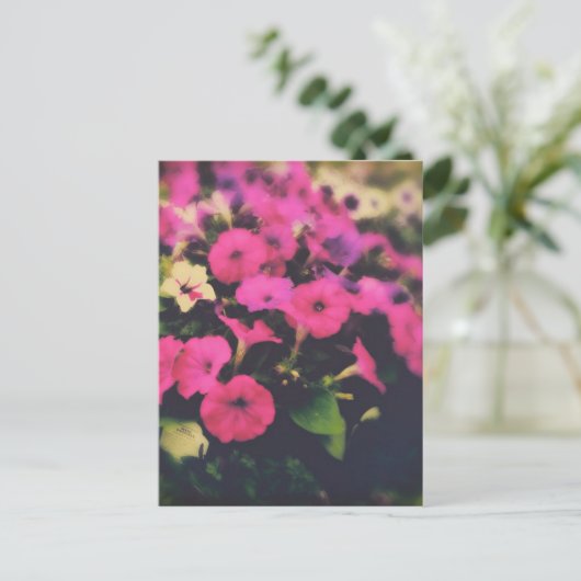 食料品店の花 ポストカード (スタンド正面)