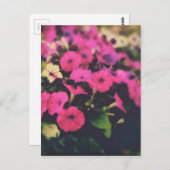 食料品店の花 ポストカード (正面/裏面)