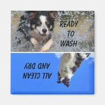 食洗機状態磁石