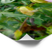 食用の巨大ハイビスカスフラワーパーフェクト ポスター (コーナー)