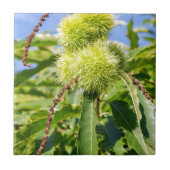 食用の栗の木の緑の殻そして葉 タイル (正面)