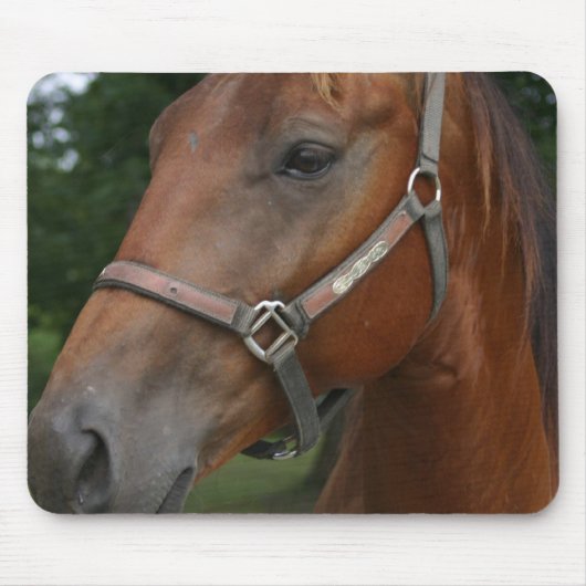 食用の栗の馬のマウスパッド マウスパッド (正面)