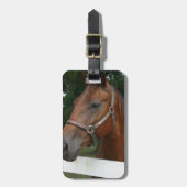 食用の栗の馬の荷物のラベル ラゲッジタグ (正面縦)