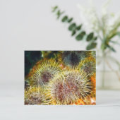 食用ウニ ポストカード (スタンド正面)