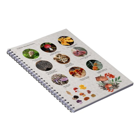 食用キノコの写真ガイドグラフジャーナル ノートブック (右側)