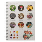 食用キノコの写真ガイドグラフジャーナル ノートブック (正面)