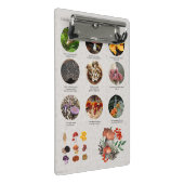 食用キノコの写真ガイドチャート ミニクリップボード (アングル)