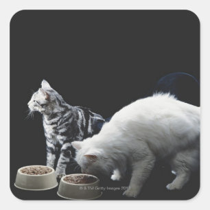 食糧のボールを持つ猫 スクエアシール