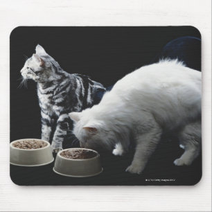 食糧のボールを持つ猫 マウスパッド