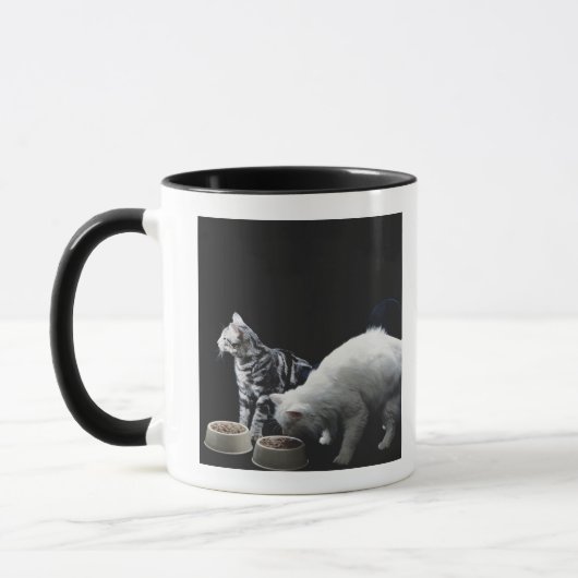 食糧のボールを持つ猫 マグカップ (左)
