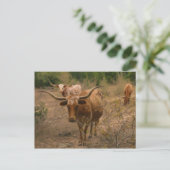 食糧の貯蔵 ポストカード (スタンド正面)