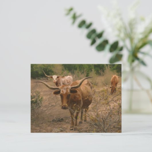 食糧の貯蔵 ポストカード (スタンド正面)