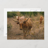 食糧の貯蔵 ポストカード (正面/裏面)