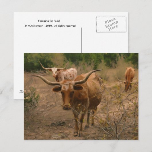 食糧の貯蔵 ポストカード (正面/裏面)