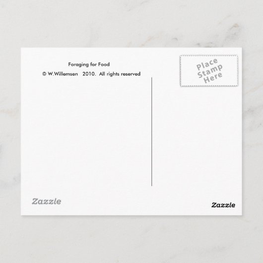 食糧の貯蔵 ポストカード (裏面)